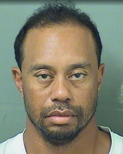 Tiger Woods mug shot